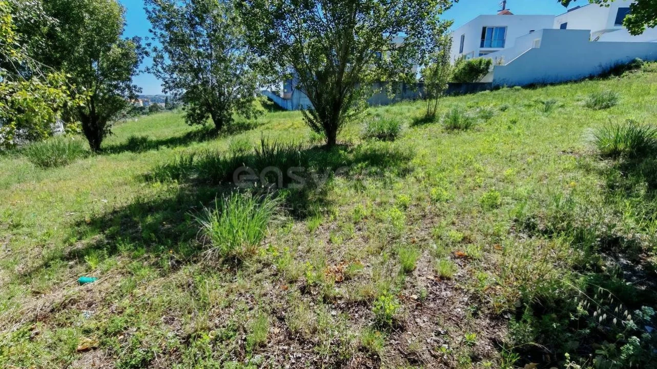 Terreno para Venda em Torres Novas (Santa Maria, Salvador e Santiago) Foto 1