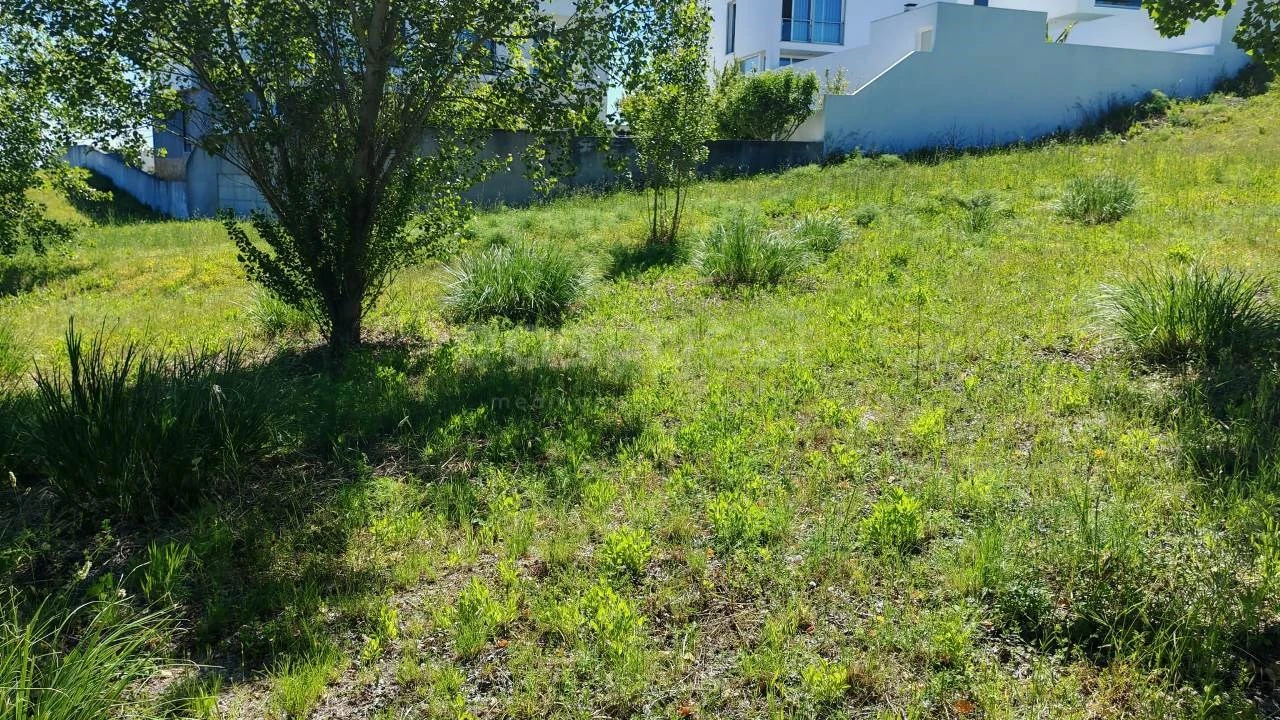 Terreno para Venda em Torres Novas (Santa Maria, Salvador e Santiago) Foto 3