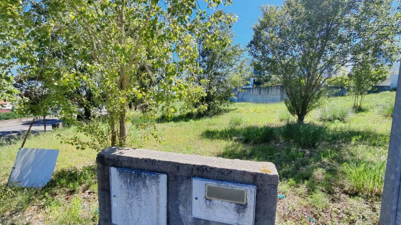Terreno para Venda em Torres Novas (Santa Maria, Salvador e Santiago) Foto 6