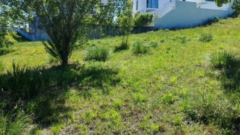 Terreno para Venda em Torres Novas (Santa Maria, Salvador e Santiago)