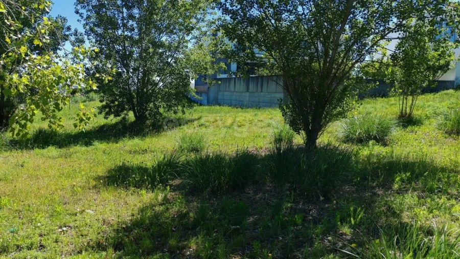 Terreno para Venda em Torres Novas (Santa Maria, Salvador e Santiago) Foto 2