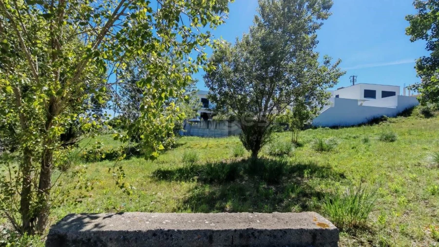 Terreno para Venda em Torres Novas (Santa Maria, Salvador e Santiago) Foto 5