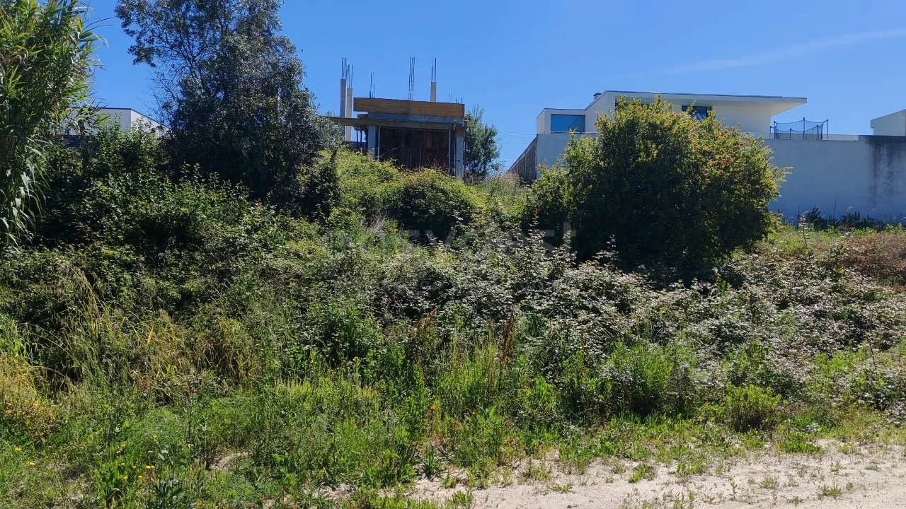 Terreno para Venda em Torres Novas (Santa Maria, Salvador e Santiago) Foto 1