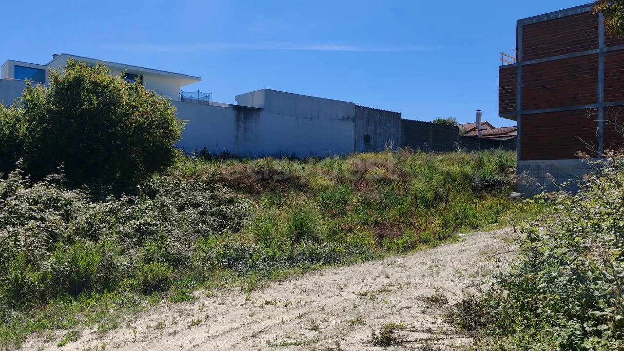 Terreno para Venda em Torres Novas (Santa Maria, Salvador e Santiago) Foto 2