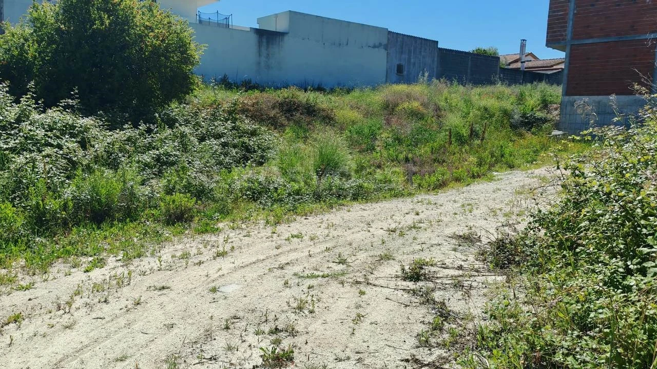 Terreno para Venda em Torres Novas (Santa Maria, Salvador e Santiago) Foto 4