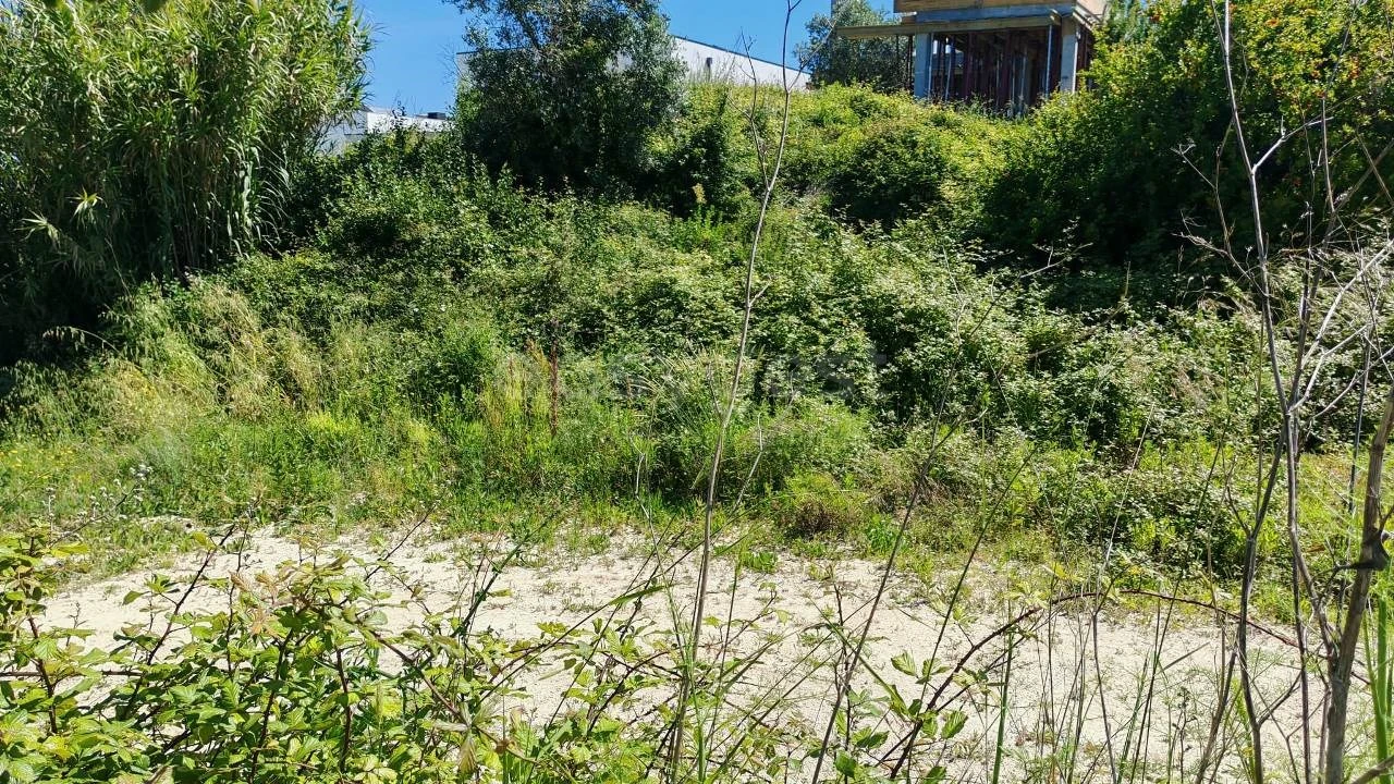 Terreno para Venda em Torres Novas (Santa Maria, Salvador e Santiago) Foto 6