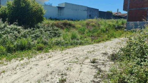 Terreno para Venda em Torres Novas (Santa Maria, Salvador e Santiago)
