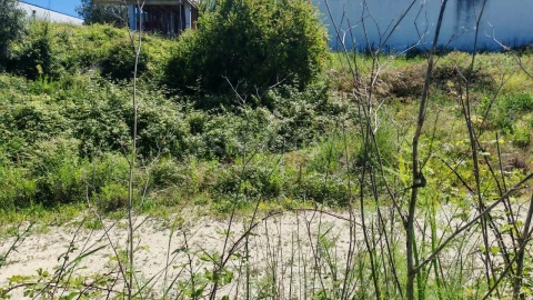 Terreno para Venda em Torres Novas (Santa Maria, Salvador e Santiago)