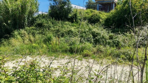 Terreno para Venda em Torres Novas (Santa Maria, Salvador e Santiago)