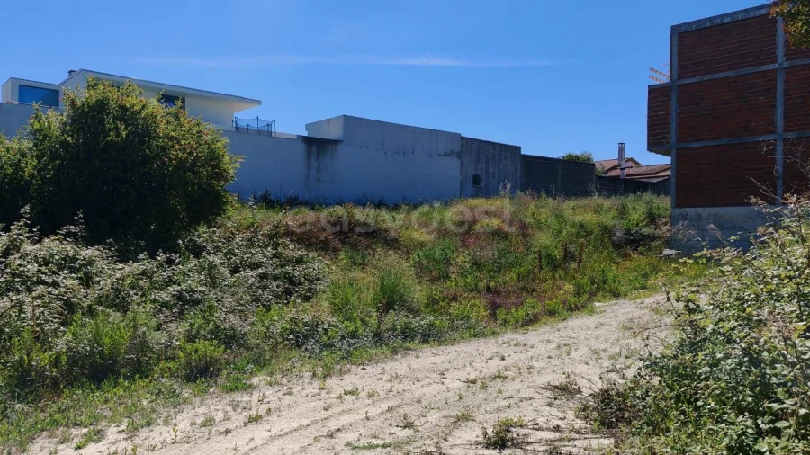 Terreno para Venda em Torres Novas (Santa Maria, Salvador e Santiago) Foto 2