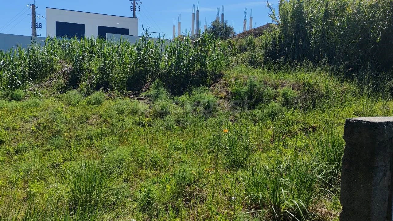 Terreno para Venda em Torres Novas (Santa Maria, Salvador e Santiago) Foto 1