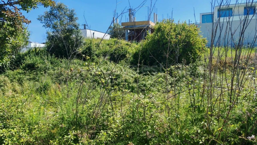 Terreno para Venda em Torres Novas (Santa Maria, Salvador e Santiago) Foto 2