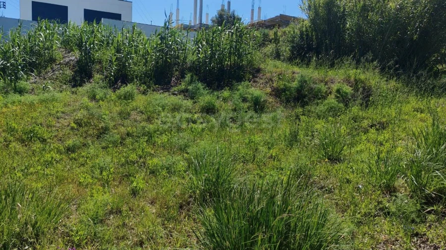 Terreno para Venda em Torres Novas (Santa Maria, Salvador e Santiago) Foto 3