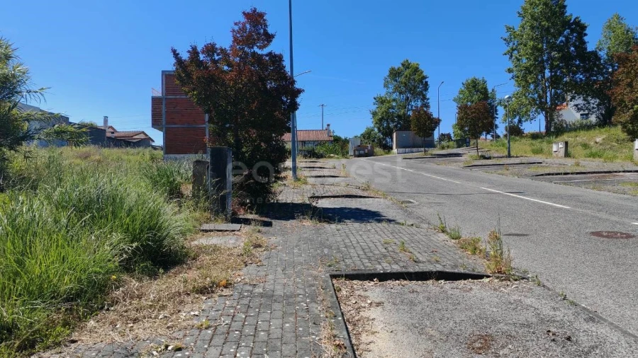 Terreno para Venda em Torres Novas (Santa Maria, Salvador e Santiago) Foto 4