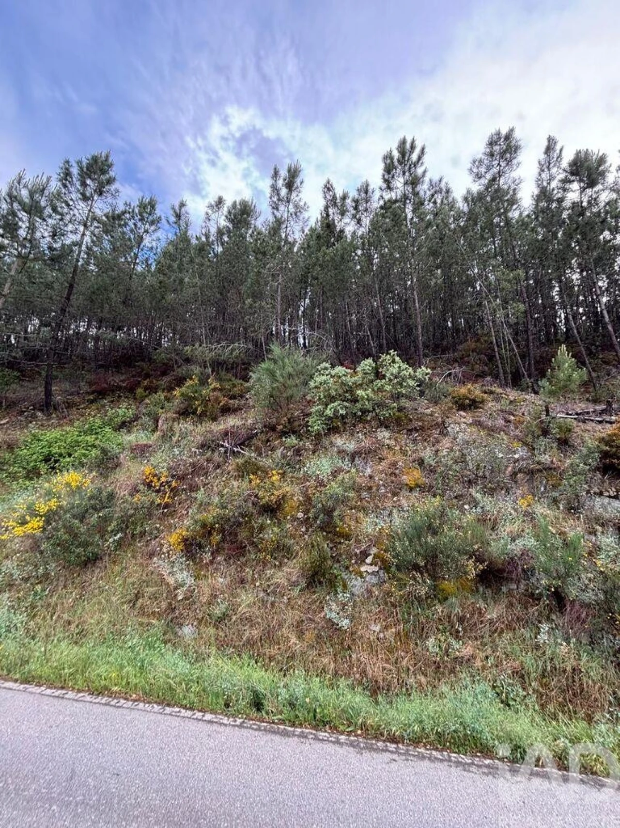 Terreno para Venda em Sarzedas Foto 3