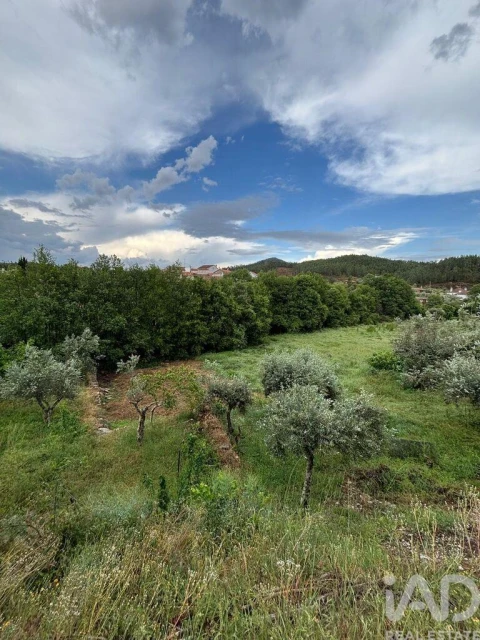 Terreno para Venda em Sarzedas