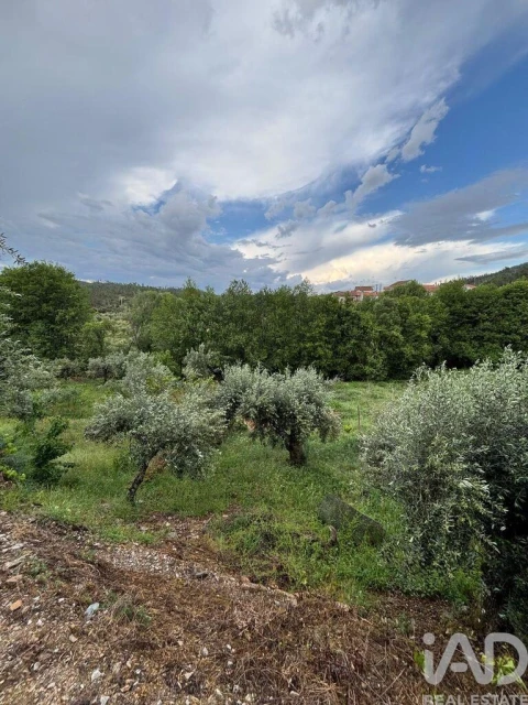 Terreno para Venda em Sarzedas