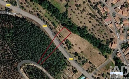 Terreno para Venda em Sarzedas