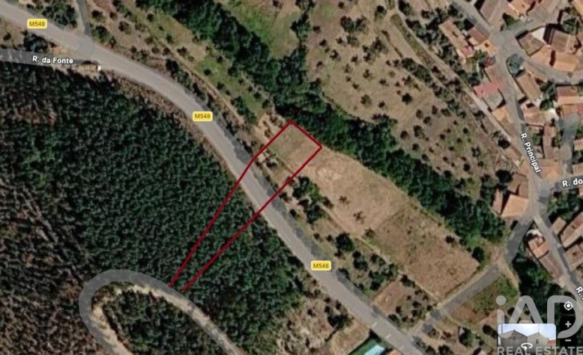 Terreno para Venda em Sarzedas Foto 6