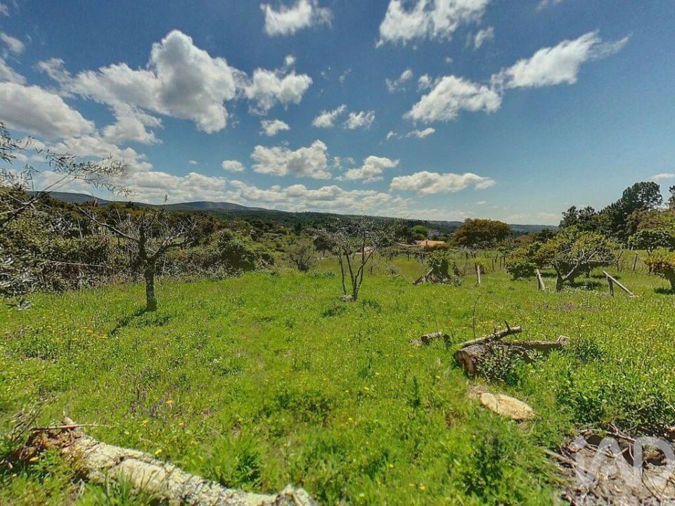 Terreno para Venda em Pedrogão Pequeno Foto 3