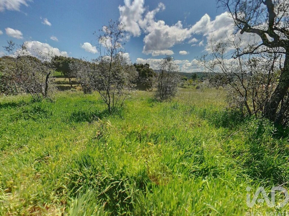 Terreno para Venda em Pedrogão Pequeno Foto 4