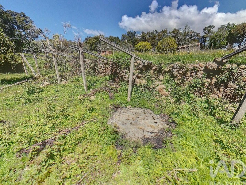 Terreno para Venda em Pedrogão Pequeno Foto 2