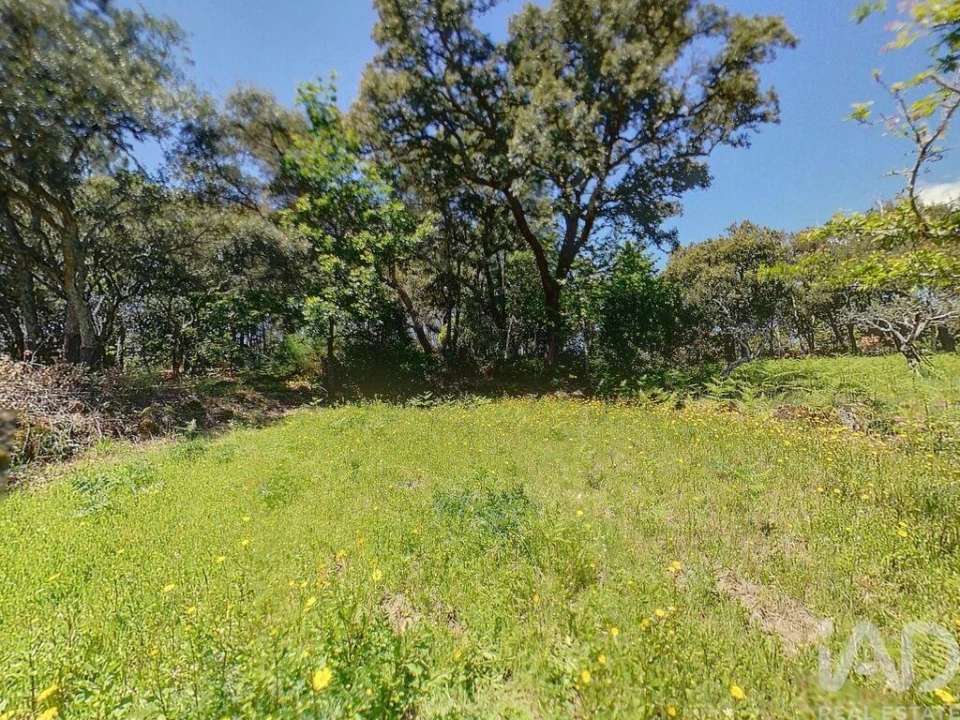 Terreno para Venda em Pedrogão Pequeno Foto 12