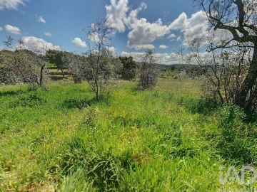 Terreno para Venda em Pedrogão Pequeno