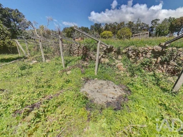 Terreno para Venda em Pedrogão Pequeno