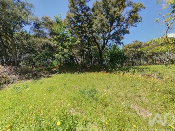 Terreno para Venda em Pedrogão Pequeno