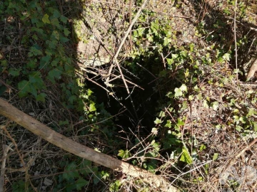 Terreno para Venda em Pedrogão Pequeno