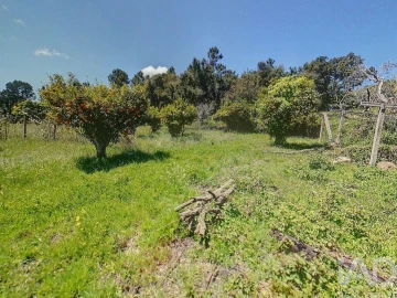 Terreno para Venda em Pedrogão Pequeno