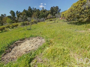 Terreno para Venda em Pedrogão Pequeno