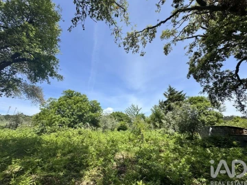 Terreno para Venda em Pedrogão Pequeno