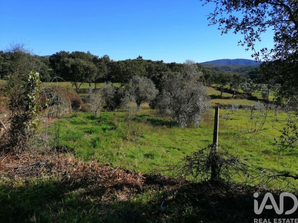 Terreno para Venda em Pedrogão Pequeno Foto 5