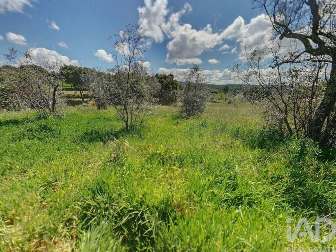 Terreno para Venda em Pedrogão Pequeno Foto 4