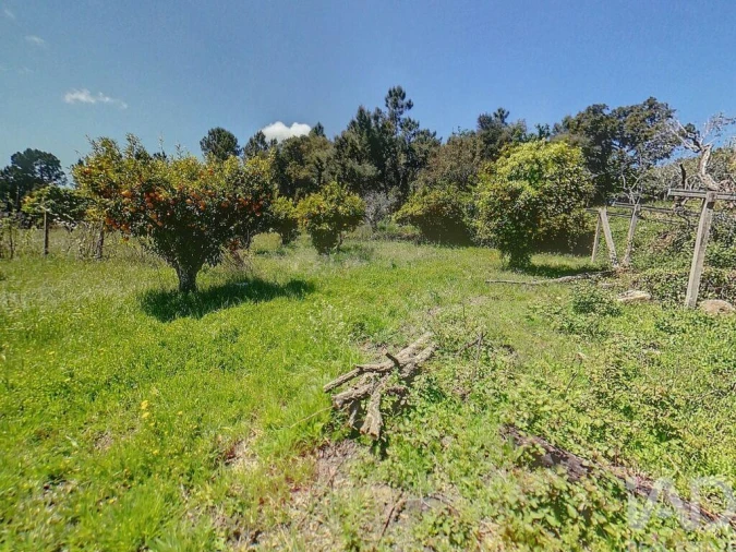 Terreno para Venda em Pedrogão Pequeno Foto 10