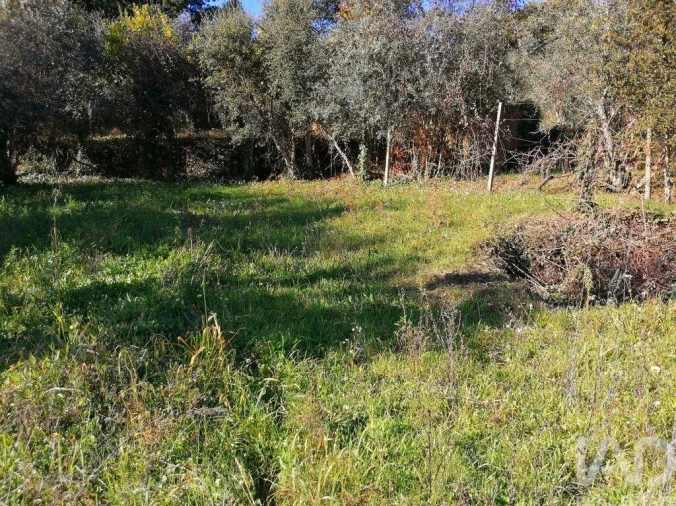 Terreno para Venda em Pedrogão Pequeno Foto 7
