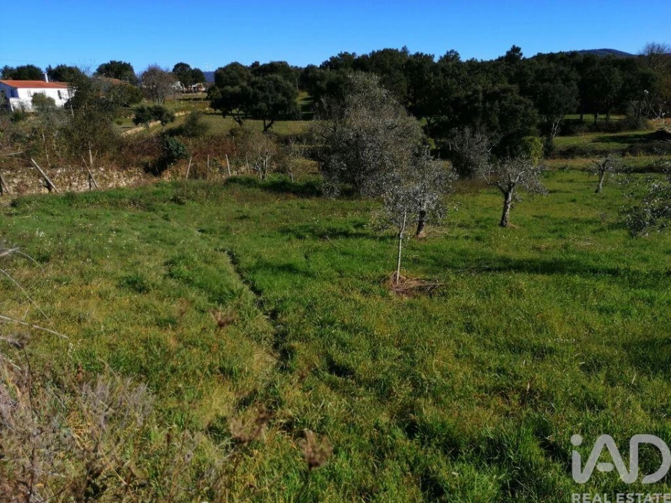 Terreno para Venda em Pedrogão Pequeno Foto 13