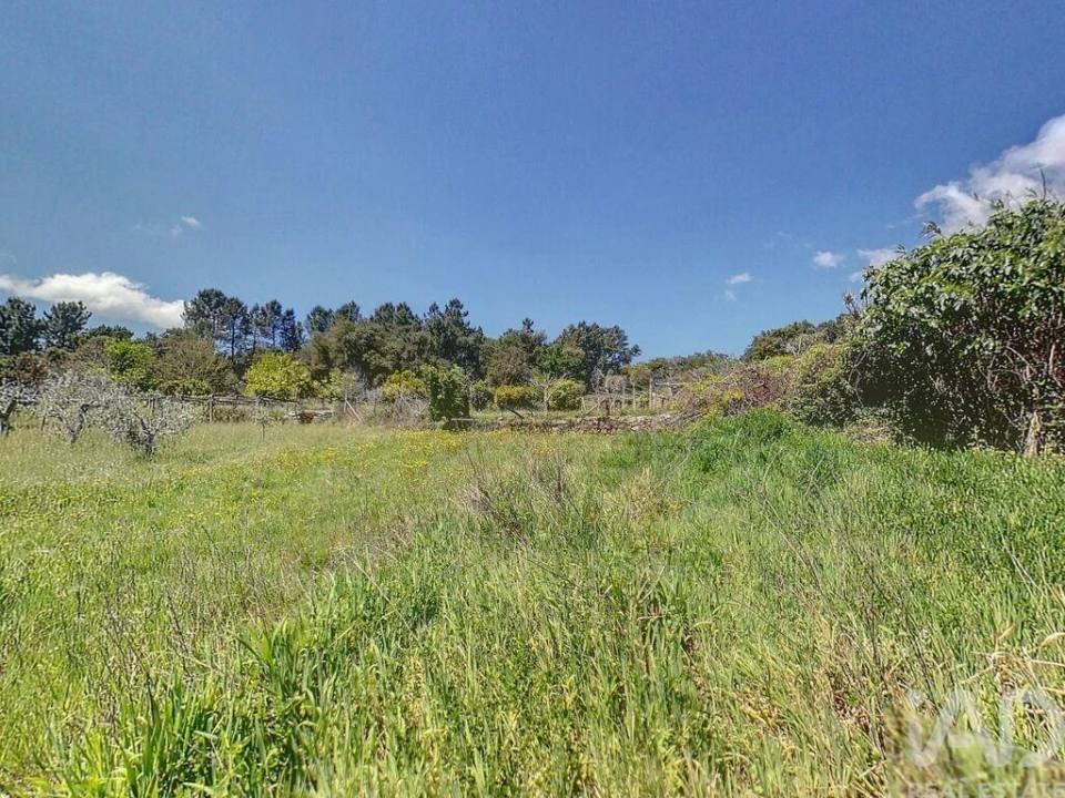 Terreno para Venda em Pedrogão Pequeno Foto 11