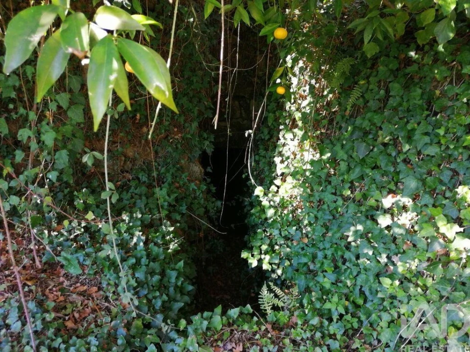 Terreno para Venda em Pedrogão Pequeno Foto 6