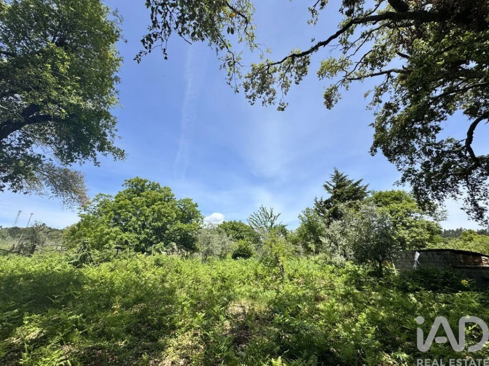 Terreno para Venda em Pedrogão Pequeno Foto 14