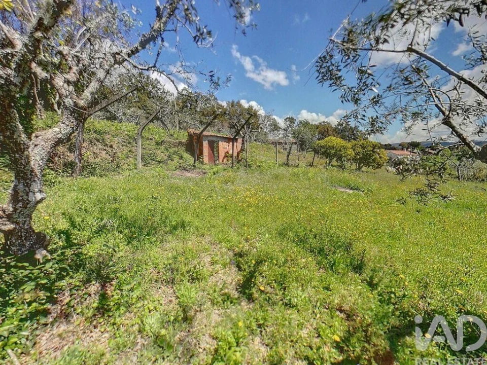 Terreno para Venda em Pedrogão Pequeno Foto 1