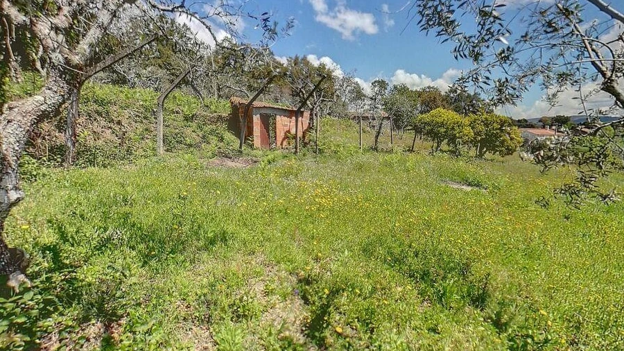 Terreno para Venda em Pedrogão Pequeno