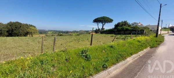 Terreno para Venda em Alcobaça e Vestiaria