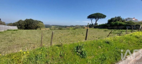Terreno para Venda em Alcobaça e Vestiaria