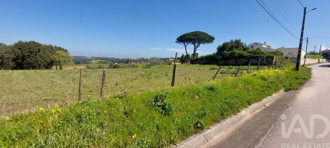 Terreno para Venda em Alcobaça e Vestiaria Foto 4