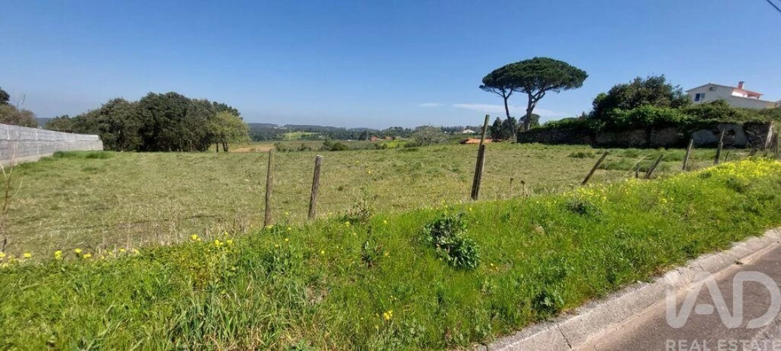 Terreno para Venda em Alcobaça e Vestiaria Foto 3