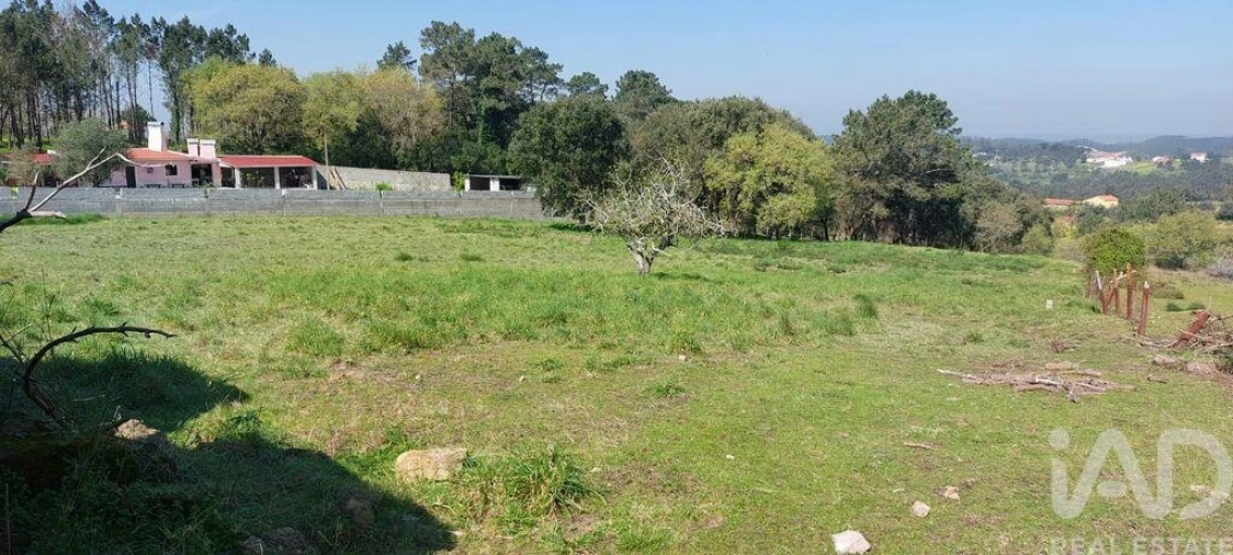 Terreno para Venda em Alcobaça e Vestiaria Foto 6