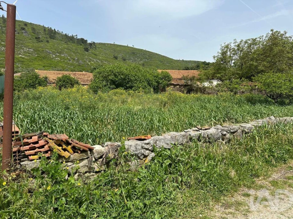 Terreno para Venda em Rio Maior Foto 18